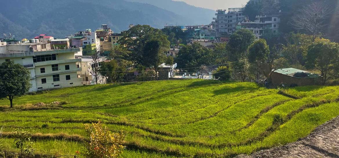 an abode close to nature and tranquility in a meditation retreat
